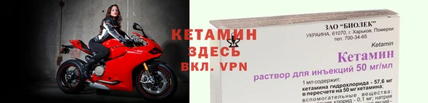 крисы Алексин