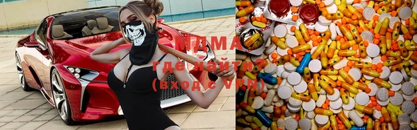 прущие грибы Алзамай